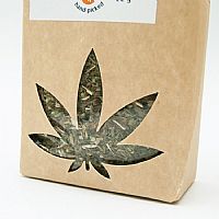 CANNADORRA Hemp Tea Bio 1,6% CBD - 35gr