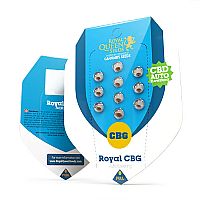 RQS Royal CBG Automatic