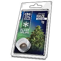 Jelly 33% CBG Amnesia 1gr - PLANT OF LIFE 