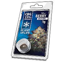 Jelly 33% CBG Blueberry 1gr - PLANT OF LIFE 