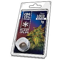 Jelly 33% CBG Chocoloco 1gr - PLANT OF LIFE 