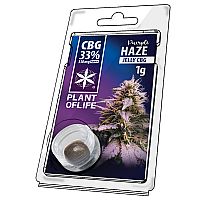 Jelly 33% CBG Purple Haze 1gr - PLANT OF LIFE 