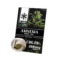 Pollen 28% CBG Amnesia - 1gr