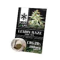 Pollen 28% CBG Lemon Haze - 1gr