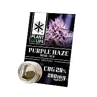 Pollen 28% CBG Purple Haze - 1gr
