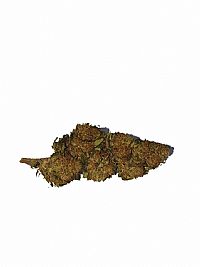CANNAVIBES Ανθοί Κάνναβης TRAINWREK 20% CBD - 1GR