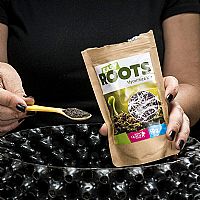 RQS Easy Roots Μείγμα Μυκόρριζας - 50gr