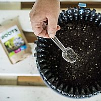 RQS Easy Roots Μείγμα Μυκόρριζας - 50gr