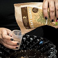 RQS Λίπασμα Bat Guano - 500gr
