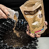 RQS Λίπασμα Bat Guano - 500gr