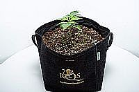 RQS Υφασμάτινη Γλάστρα 4L