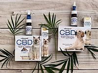 Σετ CBD Boost για Σκύλους με CBD Oil και Delicious Hemp Bites