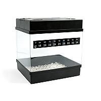 RQS Starter Kit Feminized