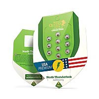 RQS North Thunderfuck Automatic