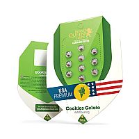 RQS Cookies Gelato Automatic