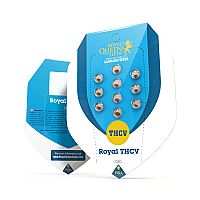 RQS Royal THCV Automatic