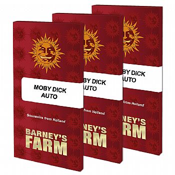 Barneys Farm - Moby Dick Auto