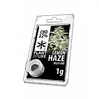 LEMON HAZE 1GR JELLY 22% CBD - PLANT OF LIFE 
