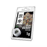 BLUEBERRY 1GR JELLY 22% CBD - PLANT OF LIFE 