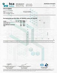Eighty8 XL Ηλεκτρονικό Τσιγάρο Μιας Χρήσης 99% HHC Lemon - 2ml