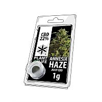 AMNESIA HAZE 1GR JELLY 22% CBD - PLANT OF LIFE 