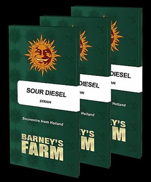 Barneys Farm - Sour Diesel 