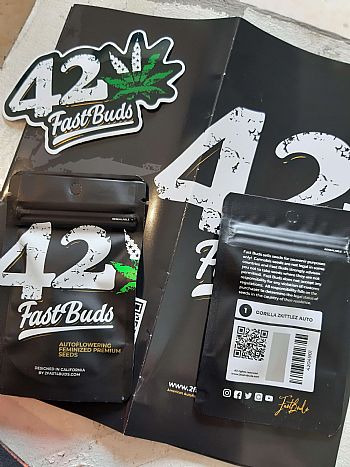 FastBuds - Mix Pack Auto