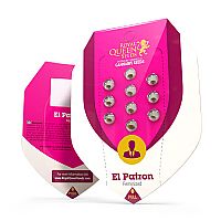 RQS El Patron