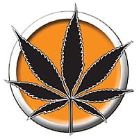 Cannadom Premium Προφυλακτικό κάνναβης - 1τμχ