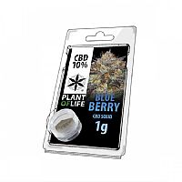 Plant Of Life Solid 10% CBD Blueberry Extraction - 1gr 