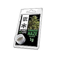 Plant Of Life Solid 10% CBD Amnesia Haze Extraction - 1gr 