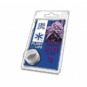 Plant Of Life Solid 27% CBG Purple Haze Extraction - 1gr 