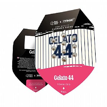 RQS Tyson 2.0 Seeds Gelato 44