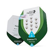 RQS Υβριδικοί Σπόροι Κάνναβης F1 - Cosmos F1