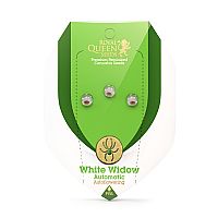 RQS Starter Kit Autoflowering