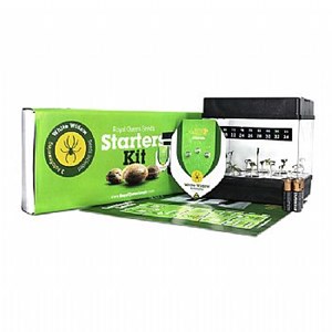 RQS Starter Kit Autoflowering