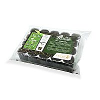 RQS Starter Kit Feminized