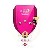 RQS Starter Kit Feminized