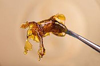 THCP Εκχύλισμα Kief - Dab/Wax (Κερί) THCP Εκχύλισμα Kief - Dab/Wax (Κερί)