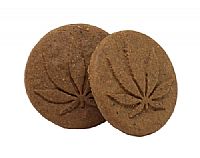 Euphoria CBD Cookies Hashish 120mg CBD -120gr