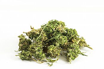 CANNADORRA Premium Τσάι κάνναβης - 30gr