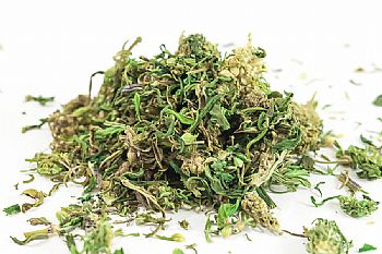 CANNADORRA Τσάι κάνναβης BIO - 30gr