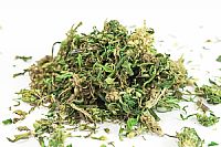 CANNADORRA Τσάι κάνναβης BIO - 30gr