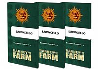 Barneys Farm - Limoncello 