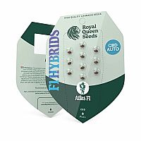 RQS Υβριδικοί Σπόροι Κάνναβης F1 - Atlas F1