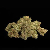 RQS Υβριδικοί Σπόροι Κάνναβης F1 - Gaia F1