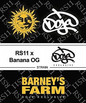 Barneys Farm - RS11 X Banana OG
