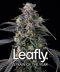 Barneys Farm - Super Boof 