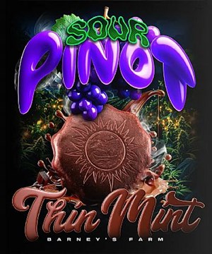 Barneys Farm - Thin Mint x Sour Pinot Auto