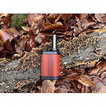 Tinymight 2 Black Redwood